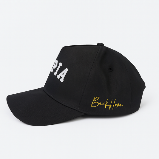 The Prototype: Black Suede Ethiopia Snapback (Limited Release)